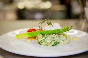 Food 16 (1)