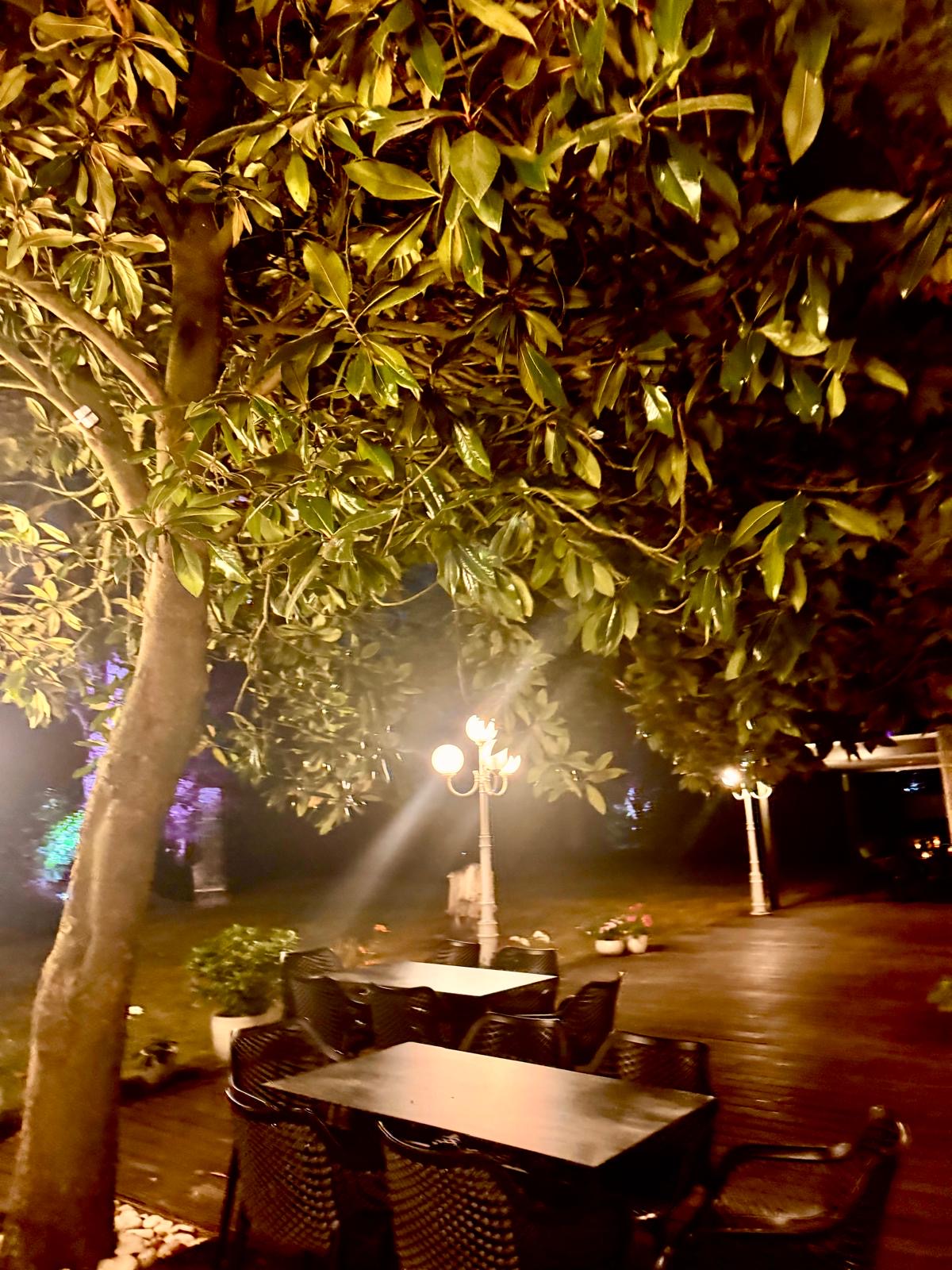 40F58786 951C 422A A589 8Db91f26a5b8