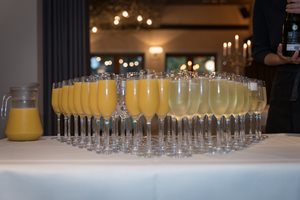 Sarahstiersfotografie Hr400 637 49083839427 O